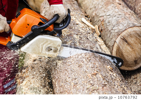 Man sawing a log in his back yard Man sawing a log in his back yard 10763792