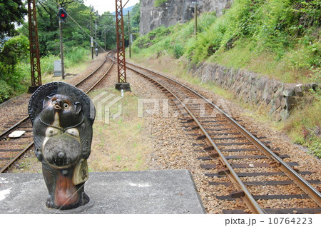 ホームのたぬき 10764223