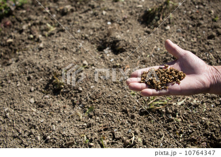 土と手 土と手 10764347