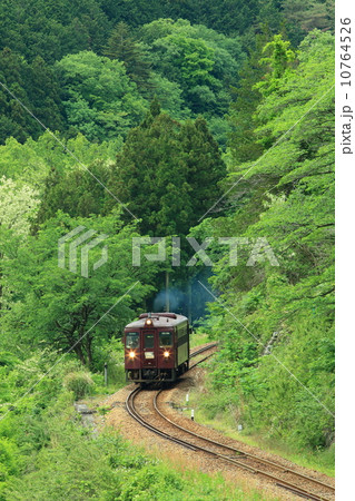 新緑のわたらせ渓谷鉄道 10764526