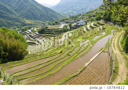 小豆島 中山千枚田の写真素材