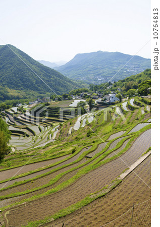 小豆島 中山千枚田 小豆島 中山千枚田 10764813