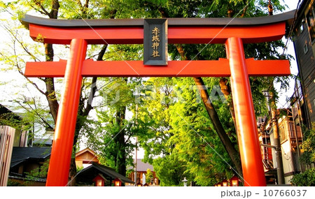 神楽坂の風景 神楽坂の風景 10766037