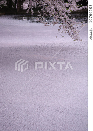 青森 弘前市 弘前城 青森 弘前市 弘前城 10766503