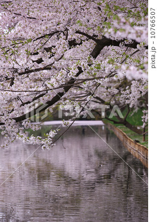 青森 弘前市 弘前城 青森 弘前市 弘前城 10766507