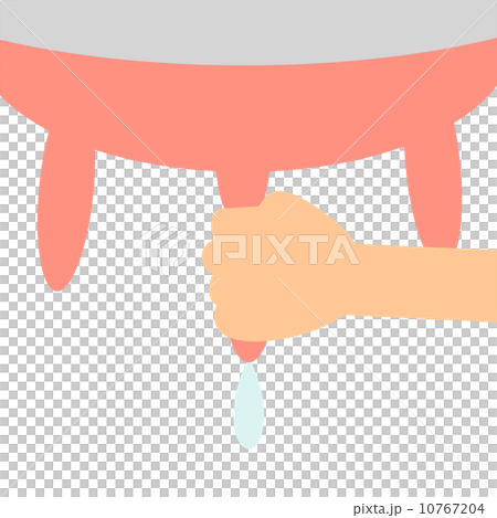 母牛的母乳喂養 母牛的母乳喂養 10767204