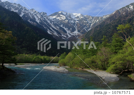 新緑の上高地 10767571