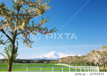 秋田 由利本荘市 秋田 由利本荘市 10769932