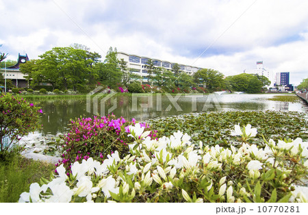 秋田市・千秋公園  秋田市・千秋公園  10770281