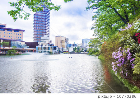 秋田市・千秋公園　 10770286