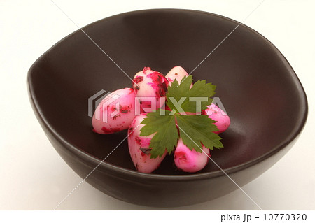 大蒜　漬け物　箸休め　和食　白背景 10770320