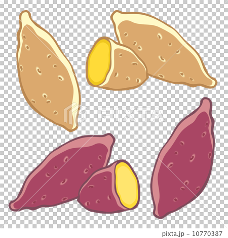 sweet potato sweet potato 10770387