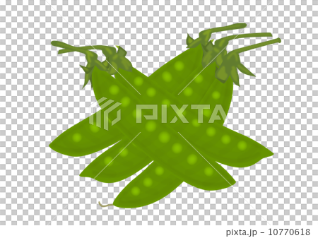 豌豆 豌豆 10770618