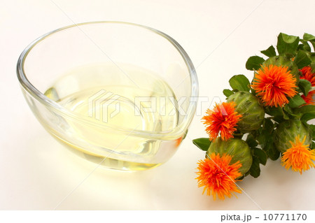 紅花油　紅花　ベニバナ　白背景 10771170