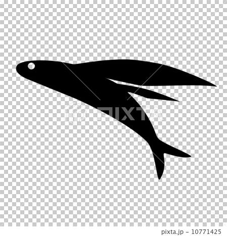 Flying Fish Stock Photos - 71,945 Images