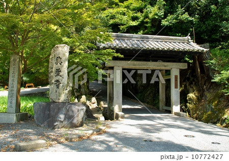 京都興聖寺の総門風景 京都興聖寺の総門風景 10772427