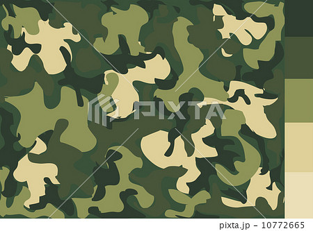 Camouflage pattern design 10772665