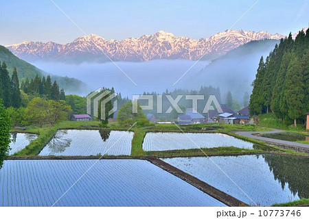 白馬連峰のパノラマ 10773746