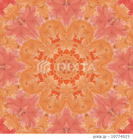 Seamless pattern with colorful leaves Seamless pattern with colorful leaves 10774025