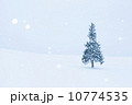 ホワイトクリスマス 10774535