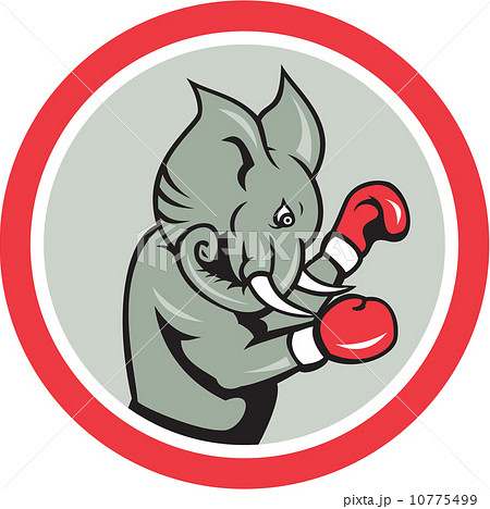 Elephant Boxer Boxing Circle Cartoon Elephant Boxer Boxing Circle Cartoon 10775499