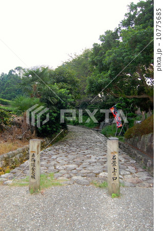 金谷坂 金谷坂 10775685