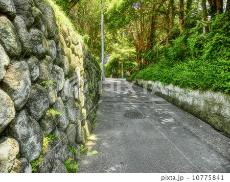 鎌倉の小道　小町３丁目 10775841