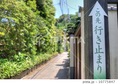 鎌倉の小道　小町３丁目　この先行き止まり 10775847