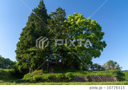 佐用町　福原城址 10776315