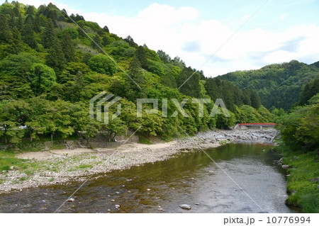 香嵐渓の春 香嵐渓の春 10776994