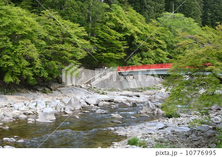 香嵐渓の春 10776995