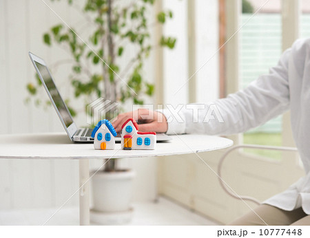 ミニチュアの家 10777448