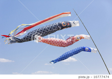 青空になびく鯉のぼり 10777474
