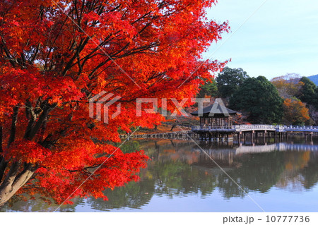 紅葉と浮見堂 10777736