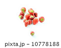 いちご 10778188