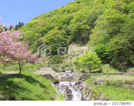 福定親水公園 「氷ノ山後山那岐山国定公園」 福定親水公園 「氷ノ山後山那岐山国定公園」 10778640