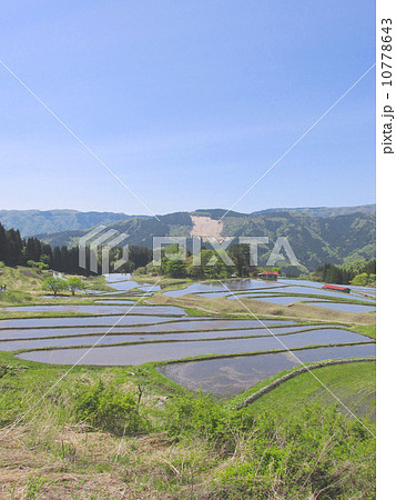別宮の棚田　「氷ノ山後山那岐山国定公園」 10778643
