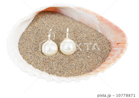 two pearl earrings and sea shells on white 10778871
