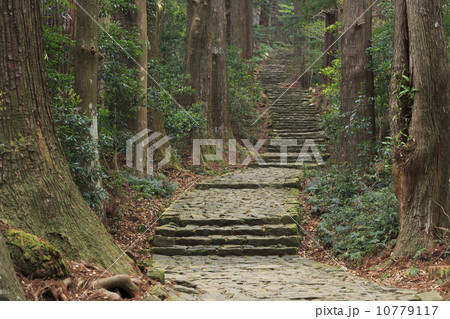 熊野古道 大門坂 熊野古道 大門坂 10779117