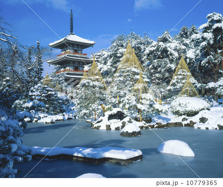 輪王寺　仙台市 10779365