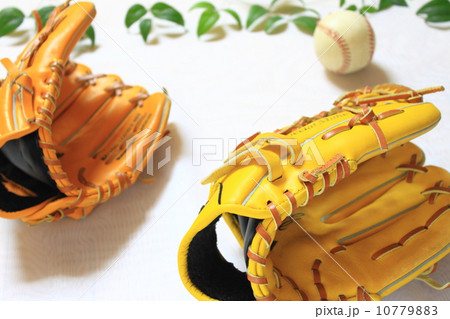 グラブとボール 10779883