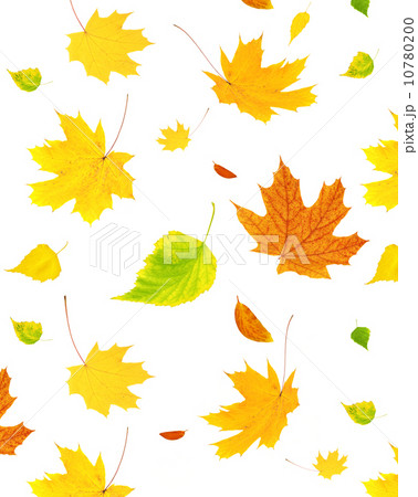 Background with flying autumn leaves 10780200