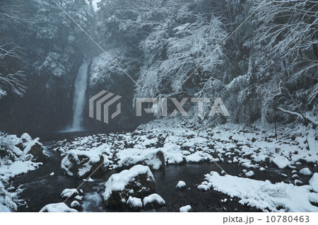 雪の淨蓮の滝 10780463