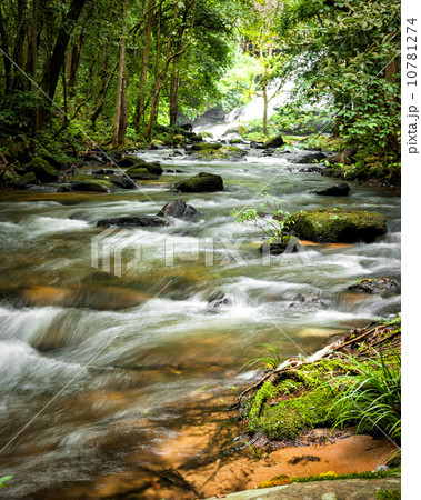 Tropical rainforest landscape with flowing river. Thailand Tropical rainforest landscape with flowing river. Thailand 10781274