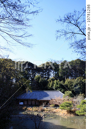 浄瑠璃寺 10781286