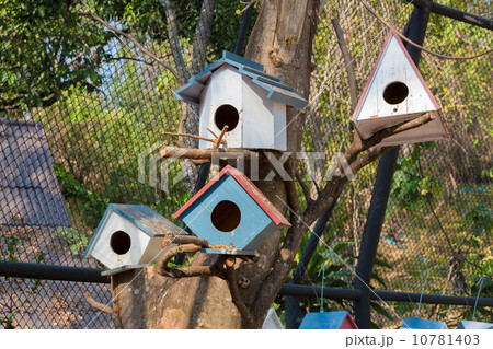 Bird house Bird house 10781403