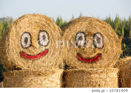 Happy hay Happy hay 10781409