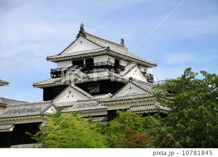 松山城 10781845