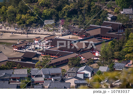 厳島神社 10783037