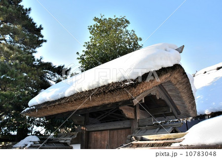 藁ぶき屋根 藁ぶき屋根 10783048